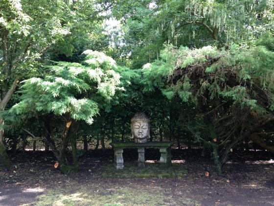 Buddha head on stone bench under bushes
