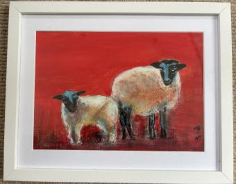 Sheep
