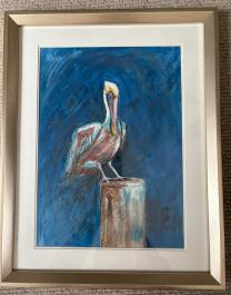 Pelican